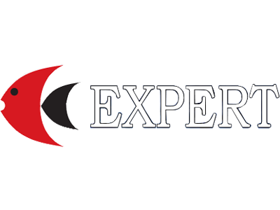 Expert