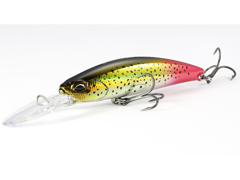 blntackle76 Jenzi - Set di 2 cucchiai per spille piatte montati da 80 grammi verde/bianco/rosso e 100 grammi verde/rosso/tigre, glitter + adesivo Petri Heil