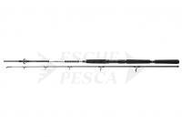 Canna Daiwa BG Offshore Pilk 2.70m 40-125g
