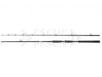 Canna Abu Garcia Beast Pike Casting 2.13m 20-70g