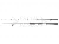 Canna Abu Garcia Beast Pike Spinning 2.44m 40-90g