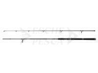 Canna Penn Squadron IV Spin 2.70m 20-50g