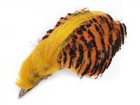 Veniard Golden Pheasant Head No. 2