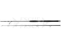 Black Cat Cat Spin 2.3 Canna da pesca 2.30m 50-200g