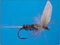 Black Midge no. 16