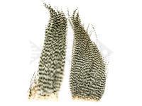 Hareline Dubbin Bugger Hackle Patches