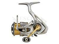 Mulinello Daiwa 21 Freams LT 1000D