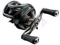 Mulinelli Baitcasting Daiwa 24 Steez SV TW 100HL