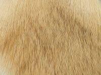 Wapsi Deer Body Hair - 026 Bleached