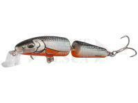 Salmo Esche dure Fanatic