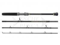 Canna Penn Regiment III Boat Travel 744 30-50lb 2.24m | Fast | Extra Heavy