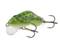 Dorado Esche Frog