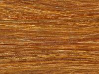 Future Fly Salmo Flash - Cinnamon Brown