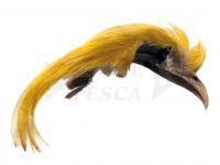 Veniard Golden Pheasant Topping Crest