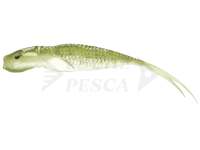Esca Qubi Lures Syrena Vertical 20cm - Olivka STYNKA