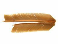 Hareline Dubbin Turkey Biot Quills