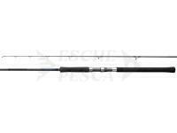 Canna Shimano Salty Advance Spinning 3.05m 10'0" Shore JIG100g 2pc