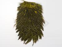 Hareline Dubbin Hen Saddle - 179 Grizzly Dyed Olive