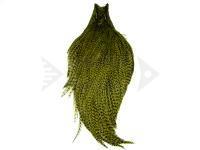 Collo Keough Tyer`s Grade Cape - Grizzly Dyed Olive