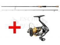 Mulinello Shimano Twin Power FD 2500S HG + GRATIS Shimano Yasei BB Street Spinning 2.10m 3-12g