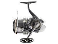 Daiwa Mulinelli Cast‘izm Feeder 25 QD