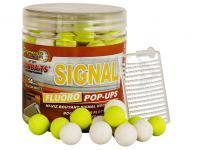 StarBaits Pop Up Concept Fluo Signal