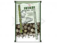 Carp Zoom Amur Big Catch Boilies