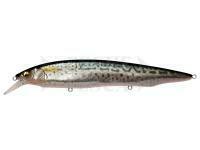 Esca Megabass Kanata SW 160mm 31g - FA SABA