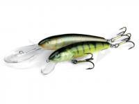 Salmo Minnow