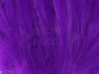 Neck Hackle Strung - purple