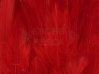 Neck Hackle Strung - red