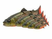 Savage Gear, Penn, Dragon