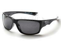 Solano Polarized Sunglasses FL 20068