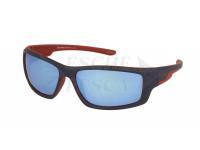 Solano Polarized Sunglasses SP 20100