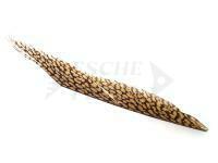 Wapsi Golden Pheasant Tail Piece