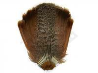 Veniard Partridge feathers