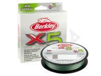 Berkley Fili Trecciati X5 Braid Low-Vis Green