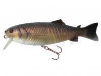 Esca Jenzi Sundance XPX 15cm 65g Sinking - Tench