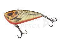 Esca Madcat VIB 10cm 90g - Rudd