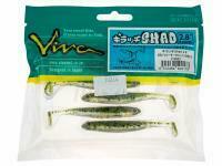 Esca Siliconicha Viva Kiracchi Shad 2.8 inch - 053