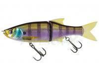 Molix Glide Bait 178