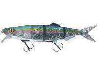 Prorex Hybrid Swimbait 2.0