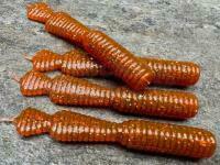 Esche Great Fish GF2 Leech 60mm 1.8g - no scent - motor oil red