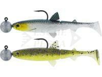 Esche Westin HypoTeez Shadtail R `N R 9cm 7g - Clear Water Mix 12