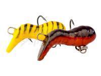 Hegemon Esche Pijawka (Leech)