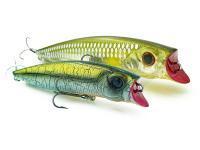 Adam's Esche R Bait