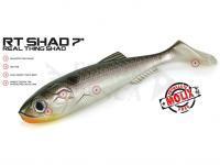 Molix Esche RT Shad 7