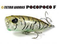 DUO Tetra Works PocoPoco F