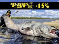 -15% di sconto su Black Cat, Quantum e DAM! Mulinelli Shimano Stella FK quasi 30% DI SCONTO!