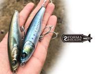 -20% di sconto su Dragon, DAM e Perch`ik! Little Jack - nuove esche giapponesi!